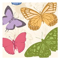 Colorful Butterflies 2 Framed Print