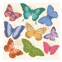 Colorful Butterflies Full Framed Print