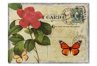 Vintage Butterfly Postcard II Framed Print