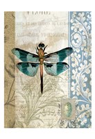 Dragonfly Blue Fine Art Print