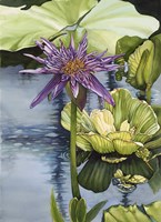 Lily Fine Art Print