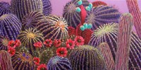 Barrel Cactus 1 Fine Art Print