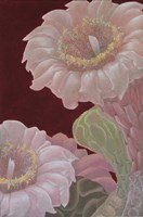 Saguaro White Fine Art Print