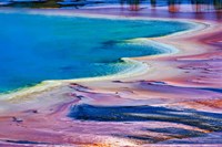 Pattern in Bacterial Mat, Midway Geyser Basin, Yellowstone National Park, Wyoming Fine Art Print