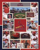 St. Louis Cardinals 2015 Team Composite Fine Art Print