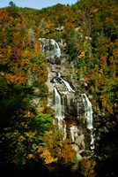 White Water Falls Fine Art Print