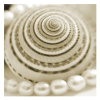 Shells and Pearls 1 Fine Art Print