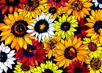Sunflower Mix Fine Art Print