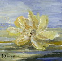 Water Lillies 1 Fine Art Print