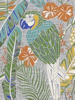 Tropical Macaw Fine Art Print