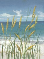 Summer Breeze II Framed Print