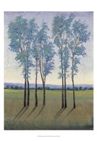 Acreage I Framed Print