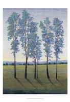 Acreage II Framed Print