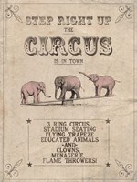 Vintage Circus I Framed Print