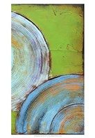 Spring Congo II Framed Print