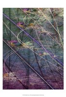 Wetlands Vector I Fine Art Print