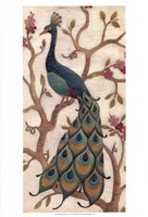 Peacock Fresco II Framed Print