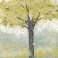 Spring Arbor II Framed Print