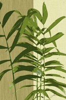 Painted Contrast Leaves II Fine Art Print