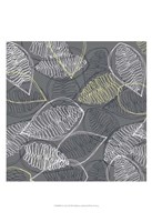 Winter's Grey II Fine Art Print