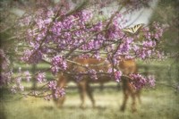 Spring has Sprung Fine Art Print