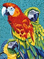 Birds in Paradise III Fine Art Print