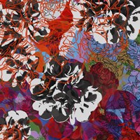 Trace Elements III Fine Art Print