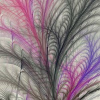 Sea Fern I Fine Art Print