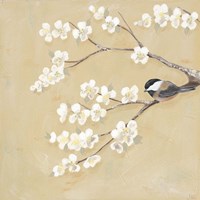 Sweet Birds I Framed Print