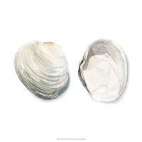 Watercolor Shells II by Megan Meagher - 18" x 18"