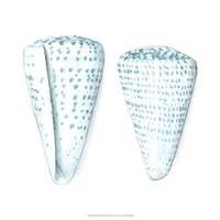 Watercolor Shells VIII Fine Art Print
