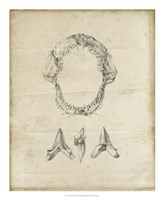 Shark Study I Framed Print
