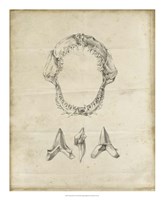 Shark Study I Fine Art Print