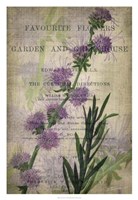 Favorite Flowers I Fine Art Print