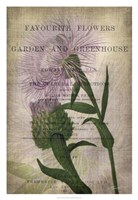 Favorite Flowers II Fine Art Print