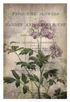 Favorite Flowers IV Fine Art Print