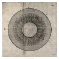 Cross Cut II Fine Art Print