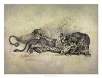 Big Cats I Framed Print