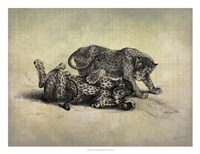Big Cats II Fine Art Print