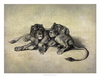 Big Cats III Fine Art Print
