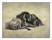 Big Cats IV Fine Art Print