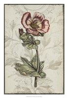 Keepsake Floral I Framed Print