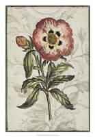 Keepsake Floral II by Jennifer Goldberger - 18" x 26"