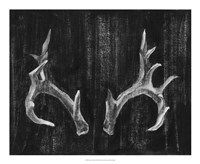 Rustic Antlers I Framed Print