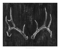 Rustic Antlers II Framed Print