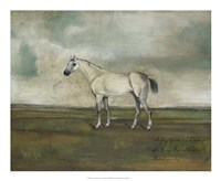A Grey Hunter in a Landscape Framed Print