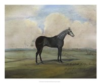 ""The Kicker,"" A Steel Grey Racehorse Framed Print