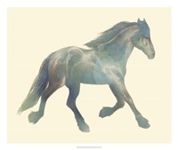 Gypsian Paint II Fine Art Print