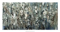 White Blooms with Navy I Fine Art Print