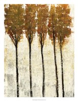 Crystal Canopy I Framed Print